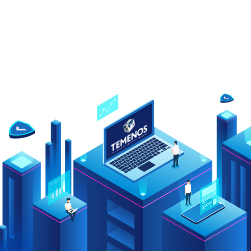 T24 Temenos Dəstəyi